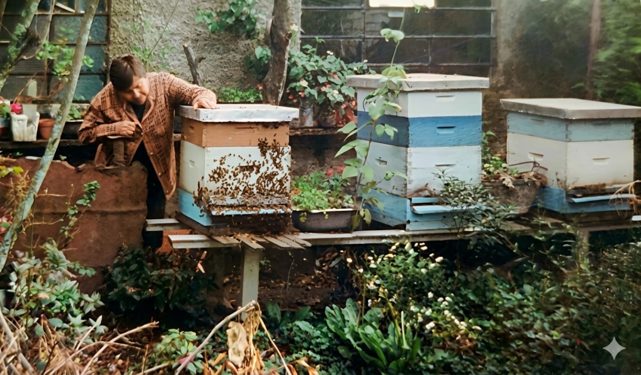 Apiario urbano de La Miel del Abuelo en un jardín de Bogotá